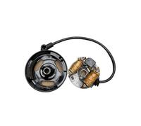 LiiZZi Nucleo del ROTORE dello STATORE 1E40F 1E45F 1E45FP 1E40FP Piastra 'INdotto Magneto di ACCENSIONE Adatto for NEBULIZZATORE 3WF-1832.6