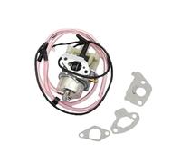 LiiZZi Uretor Adatto for 3000i C0010030 3000/2300W Gener