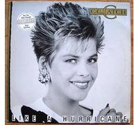 Like a hurricane (1987) / Vinyl record [Vinyl-LP]