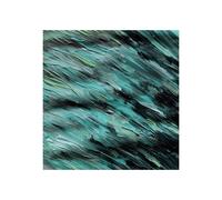 Like Elephants Better Days (Vinyl LP)