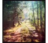 LIKE ELEPHANTS - ONEIRONAUT