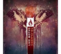 Like Moths To Flames - Dying Things We Live For