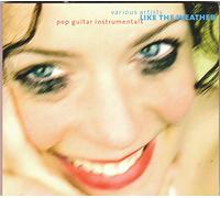 Like the Weather-Pop Guitar Instrumentals (2005) - Andreas Meyer, Guitar Deluxe, Julian Andersen, Kayman..