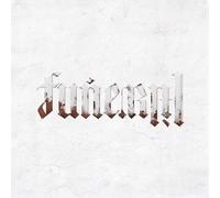 Lil Wayne Funeral explicit_lyrics (Vinyl LP)