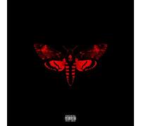 Lil' Wayne - I Am Not A Human Being 2