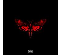 Lil Wayne - I Am Not a Human Being II