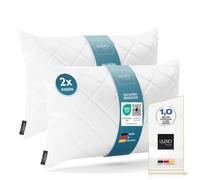 LILENO HOME Set di 2 cuscini da 50 x 70 cm, lavabile a 95 °C, adatto per chi soffre di allergie, cuscino in poliestere, cuscino da divano, cuscino da cocktail e cuscino