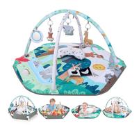 Lilian&Gema Palestrina Neonato, Palestrina Evolutiva Neonato con 6 giochi sensoriali per lo sviluppo sensoriale e motorio da 0-18 mesi,che la rendono il regalo perfetto per il tuo bambino