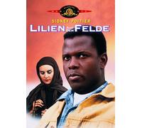 Lilien auf dem Felde