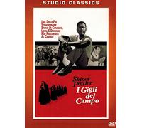 Lilien auf dem Felde