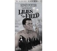 Lilies of the Field