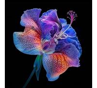 Lilium tuberi mix di cipolle,cipolle perenni,decorativi,grazia,gigli in vaso,gigli a cipolle resistenti all'inverno,ottima decorazione-8pezzo-K