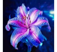 Lilium tuberi mix di cipolle,cipolle perenni,decorativi,grazia,gigli in vaso,gigli a cipolle resistenti all'inverno,ottima decorazione-2pezzo-D