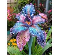 Lilium tuberi mix di cipolle,Grazia,gigli in vaso,cipolle perenni,Decorazione.-4pezzo-A