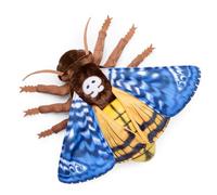 lilizzhoumax Simulazione Falena Smorfia Peluche 10,62 pollici Morbido Realistico Falena Smorfia Peluche per bambini Amanti degli insetti Ragazzi e ragazze Regali Decorazione della casa giallo blu