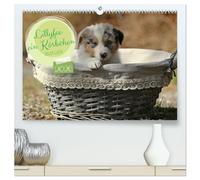 Lillyfee und ein Körbchen voller Glück (hochwertiger Premium Wandkalender 2026 DIN A2 quer), Kunstdruck in Hochglanz: Mutterglück auf vier Pfoten