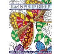 Lilt Kids Color Large Print Color By Number Butterflies, Birds, and (Tascabile)