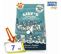 Lily's Kitchen - Cena di Salmone da 7 Kg