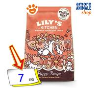 Lily's Kitchen Chicken & Salmon Puppy Recipe: 7 kg