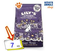 Lily's Kitchen Turkey, Salmon & Trout Senior Recipe: 7 kg