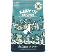 Lily's Kitchen Preparato con ingredienti naturali Cibo secco per cani adulti Nutrizione bilanciata Salmone Sacco da 1kg