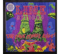 LIME SPIDERS - the cave comes alive!