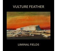 liminal fields