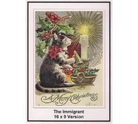 L'immigrato: 16x9 Widescreen TV.: Un Natale Meyy