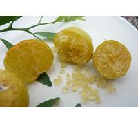 Limone Caviale Ovale - Eremorange (Citrus glauca x Citrus sinensis) - Pianta da Frutto Esotico con Polpa Verde Effetto Caviale - Agrume Raro da Collezione