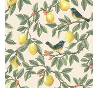 Limone Foglia Percorso Carta da Parati Crema/Arancione Albero Ramo Birds Holden