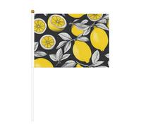 Limone Frutta Modello Stampa Due Lati Tenuto In Mano Bandiere Esterni Interni Decorativi Sport Giochi Festival Eventi Bandiera