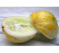 LIMONE semi di cetriolo 35 SEMI PETTINE LIBERO. SH:Seeds