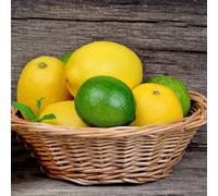 limonero colonnari resistenti per giardini di rocce limone in espaldera giardino interno bonsái perenni resistenti esotico 250pcs