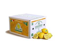 Limoni 100% Siciliani e 100% Biologici - Massima Freschezza e Sostenibilità, Limoni Raccolti Direttamente dai Nostri Alberi - 12 kg