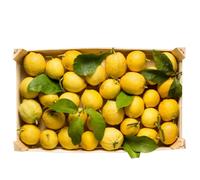 limoni di calabria box 9 kg frutta fresca agrumi succosi per succo e limoncello