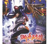 Limp Bizkit Significant Other (Vinyl LP) 12" Album