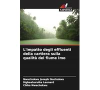 L'impatto degli effluenti della cartiera sulla qualità del fiume Imo