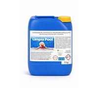 Limpia Pool SVERNANTE Sistemico Microincapsulato Antialghe Piscine Invernale
