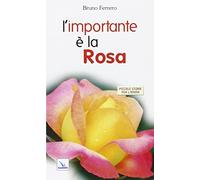 L'importante è la rosa
