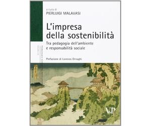 L'impresa della sostenibilità. Tra pedagogia dell'ambiente e responsabilità sociale