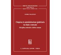 L'impresa in amministrazione giudiziaria tra Stato e mercato. Disciplina settoriale e diritto comune