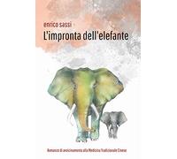 L'impronta dell'elefante