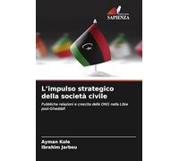 L'impulso strategico della società civile: Pubbliche relazioni e crescita delle ONG nella Libia post-Gheddafi