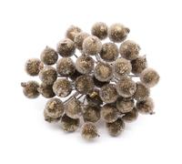 Limtula Bacche finte ramo bacche artificiali glassate da, Gold