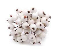 Limtula Bacche finte ramo bacche artificiali glassate da, White