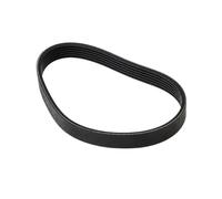 Limtula Cinghia Trasmissione del Tapis roulant | Parte ricambio multi-rib in gomma nera da 330 mm, profilo a 6 nervature per la manutenzione del fitness a casa