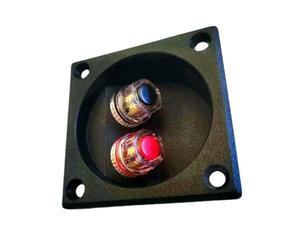 Limtula Morsetto per Scatola Altoparlanti a 2, Stereo per Auto domestiche Binding Post Connettori a Molla Quadrati Altoparlanti Scatola Giunzione Pannello Posteriore Connettori in Rame