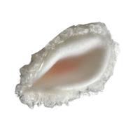 Limtula Orecchie pecora accattivanti Accessorio per la testa Decorazioni per orecchie alla per cosplay e aggiunta un tocco cartone animato look Accessorio per trucco facile da usare