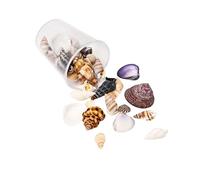 Limtula Set Gusci per Cuscinetti Cuscinetti da Guscio Naturale Set da 15 G Naturali