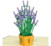 Lin 17218 - Biglietto di ringraziamento pop-up "Get Well", per festa della mamma, colore: viola lavanda